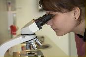 Mikrobiyolojik Ürünler Mikrobiyolojik Test Kitleri Mikrobiyolojik Kullanıma Hazır Besiyerleri